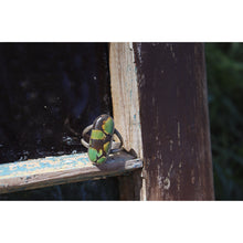 Load image into Gallery viewer, Long  Turquoise 12