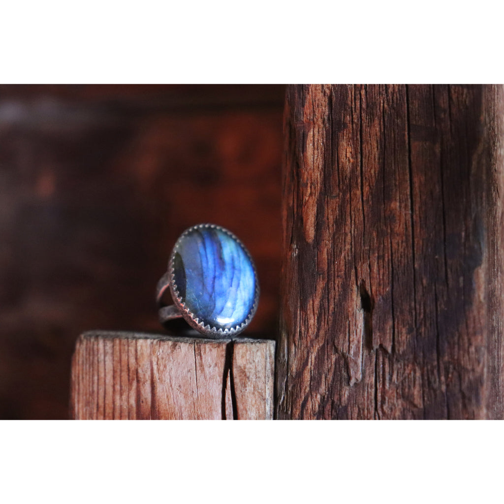 Blue Moon 7