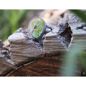 Turquoise Perfection 5.5