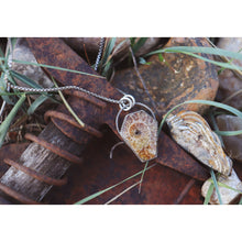 Load image into Gallery viewer, Ammonite Coffin