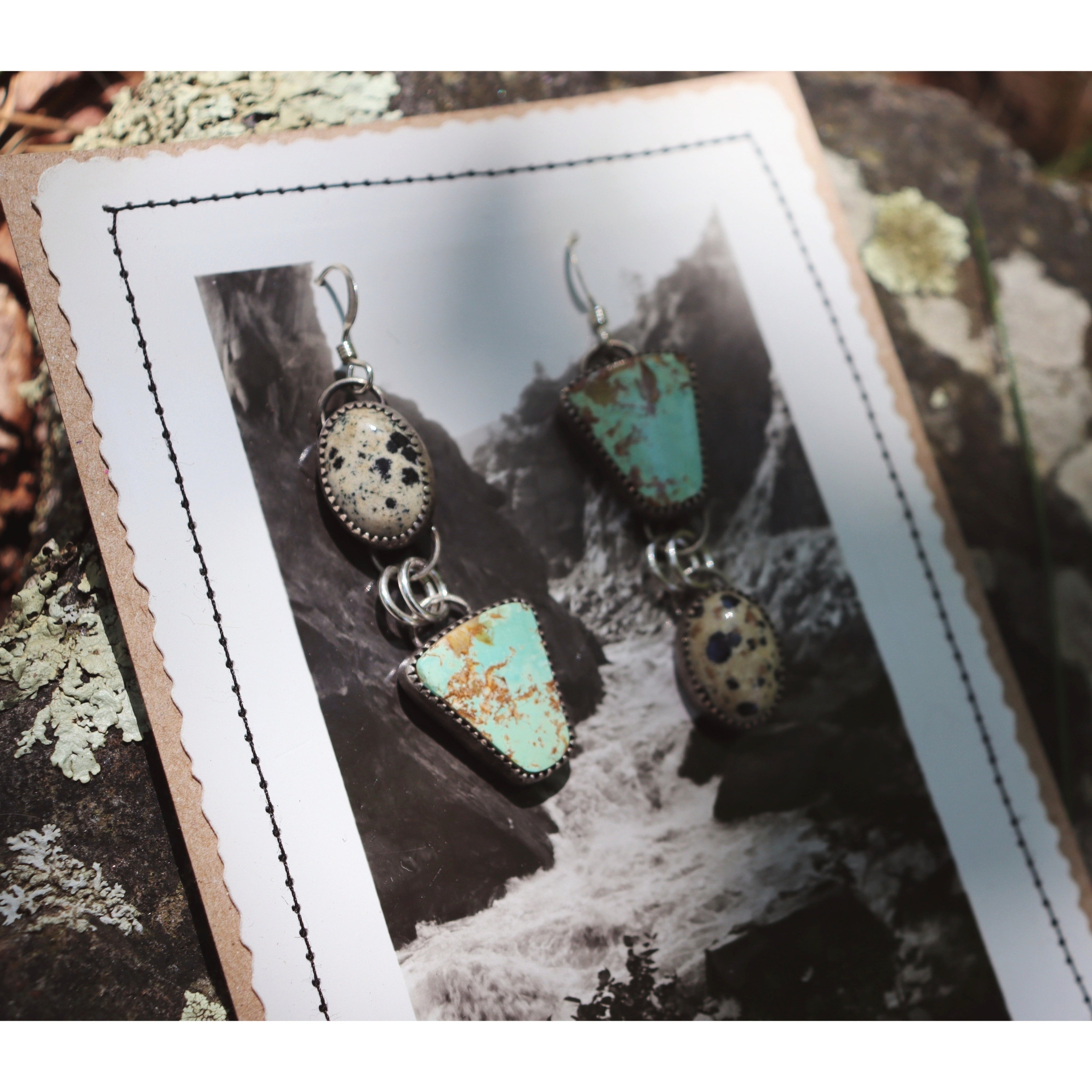 Dalmatian and Turquoise