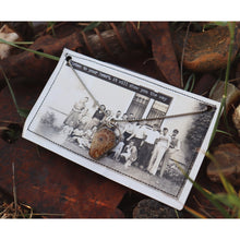 Load image into Gallery viewer, Ammonite Coffin