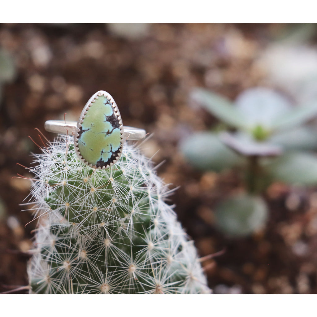 Back In Time 10.5