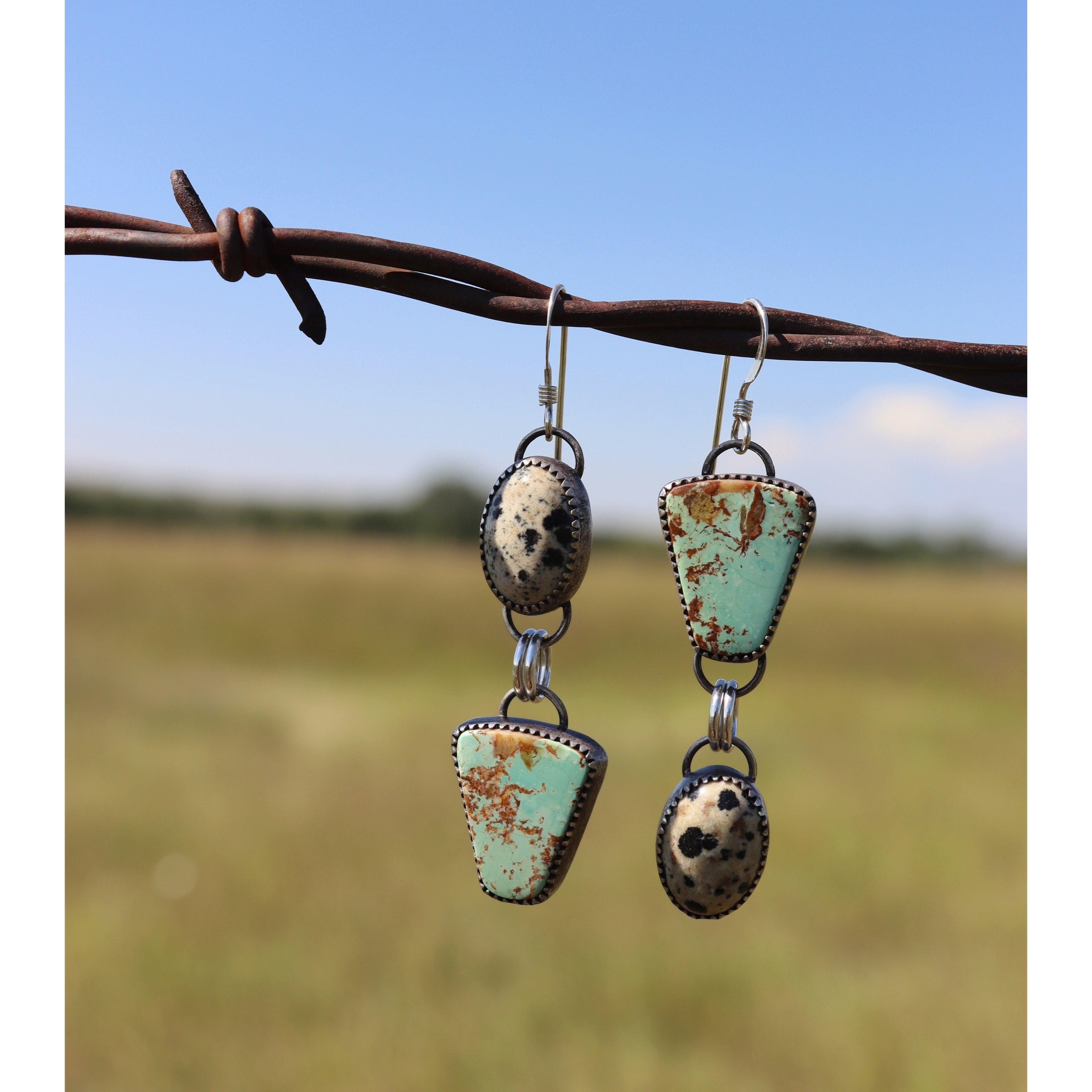 Dalmatian and Turquoise