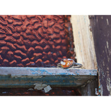 Load image into Gallery viewer, The Opal Ring 10