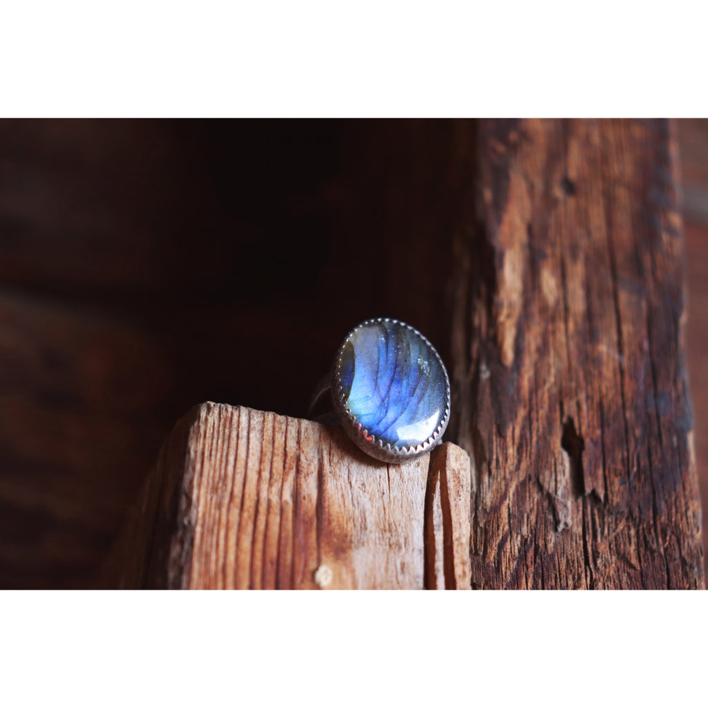 Blue Moon 7