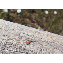 Load image into Gallery viewer, Everyday Opal