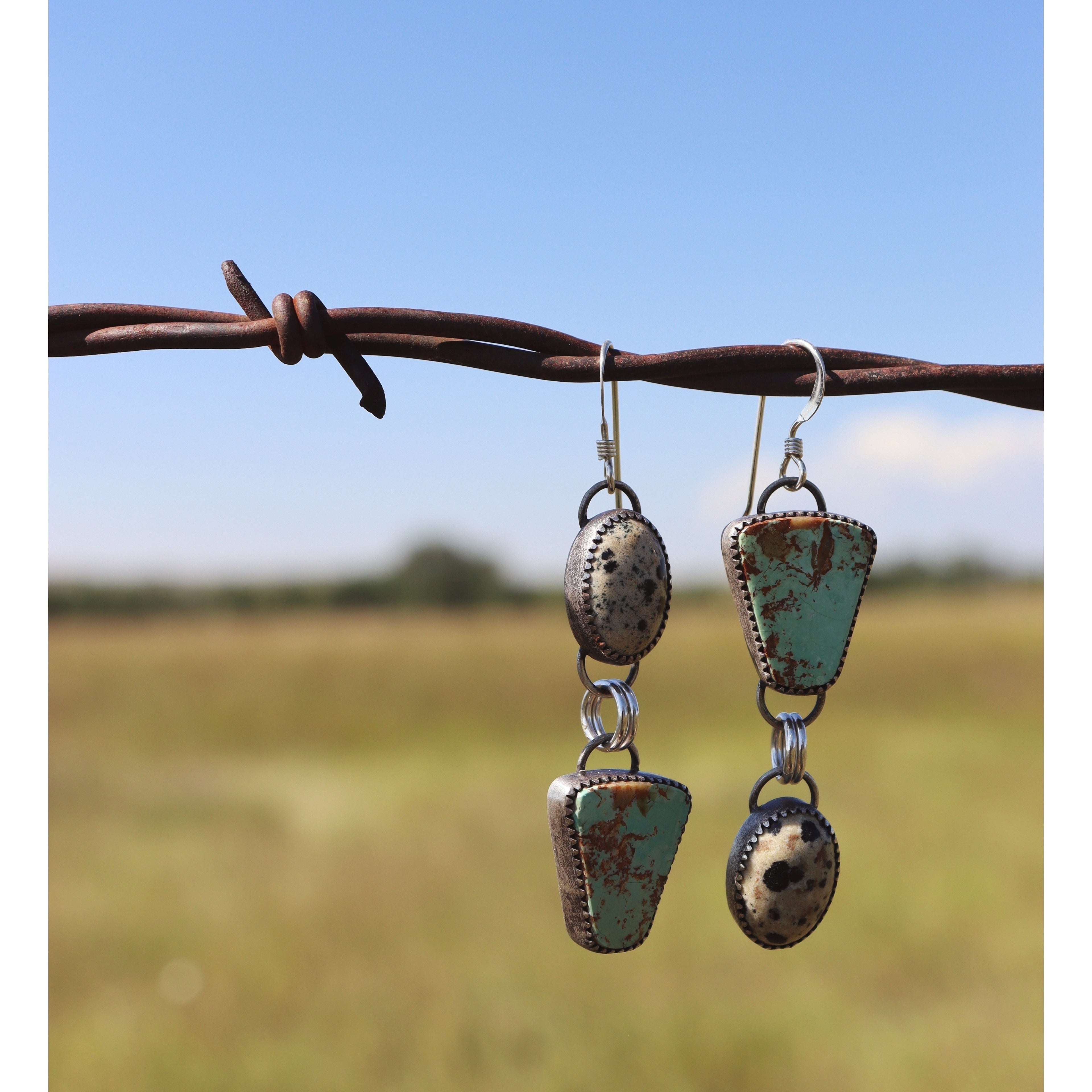 Dalmatian and Turquoise