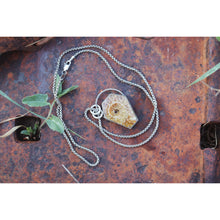Load image into Gallery viewer, Ammonite Coffin