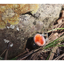 Load image into Gallery viewer, Almost Like Lava 11